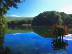 reflection of boat, red flowers and green forest in the lake