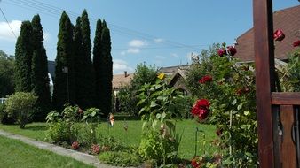 blooming garden outside the city