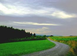 landscape of path near the green field
