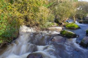 wondrous water cascade between trees