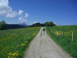 a man walks along a country road along rural fields