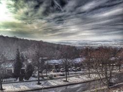 winter forest under dark clouds