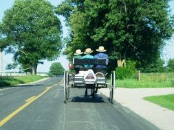 amish in harnessed wagon