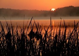 morning haze over the water