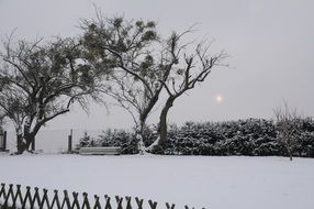 winter in the garden at snowy twilight