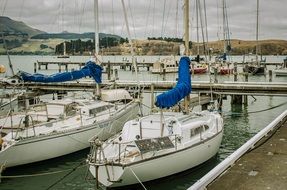 sailing yachts are moored on the ocean