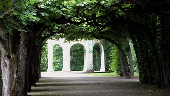 pavilion in the summer park