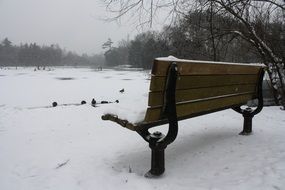 bench by the lake in winter