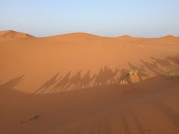 shadow of a caravan in the desert of sahara in morocco