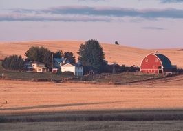 scenic farmland in summer