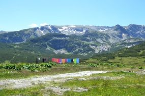 green nature in the mountains