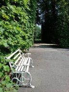 white bench near green bushes