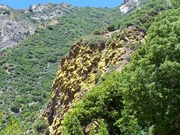 Panorama of rocks covered with moss on a sunny day