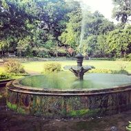 Vintage fountains in the Botanical Garden