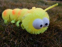 toy caterpillar on the grass