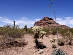 desert rocks in arizona