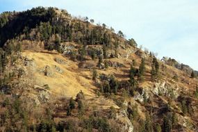 side of forested mountain at fall