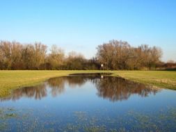 pond surrounded with trees in countryside at fall, germany