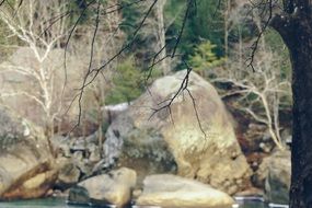 Beautiful nature with rocks around the creek