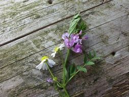 field bouquet on a wooden floor