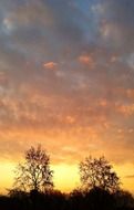 magnificent sunset nature