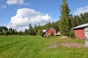 Landscape with the field near the houses