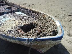 old fishing boat in clams