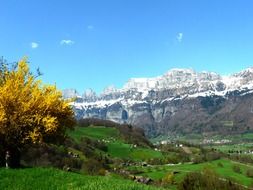view from the valley to the glacier spring in Austria