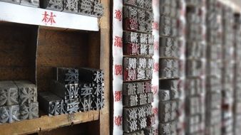 racks with typography