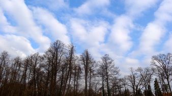 Clouds in the blue sky in autumn