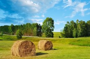 hay harvest