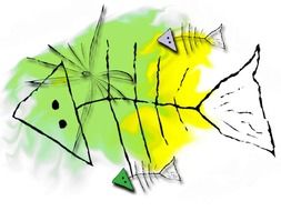 wildlife colorful fish drawing