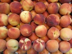 healthy ripe peaches