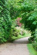 footpath in a landscape park