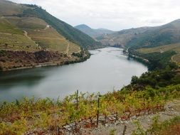 river douro