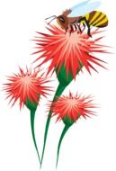 painted bee on a red flower
