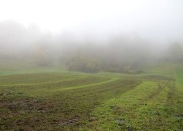 autumn fog arable