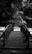 black white wooden bridge among the trees