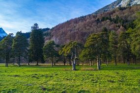 green meadow on the foot of mountain