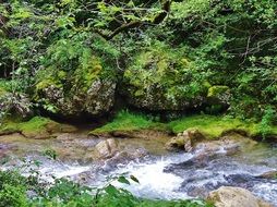 mountain river in a picturesque gorge, drome, france
