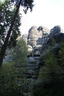 rocks in saxon switzerland