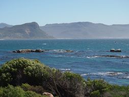 flagstones on the coast in South Africa