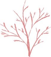 drawing of red bare tree