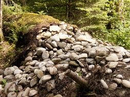 stone wall in the forest