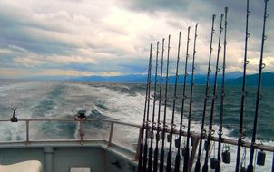 fishing boat in cook bay off the coast of alaska