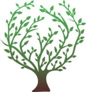 tree with green branches as a graphic image