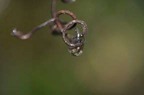 Macro Photo Of The Rain Drops On The Metal