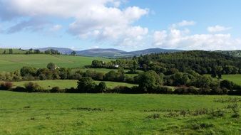 green countryside on a sunny day