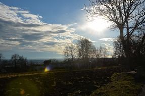 Sunbeams over a field with trees