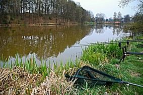 fishing rods on the pond